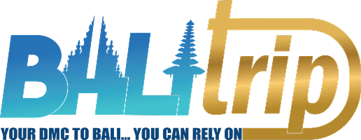 ssd-logo.png's Logo"